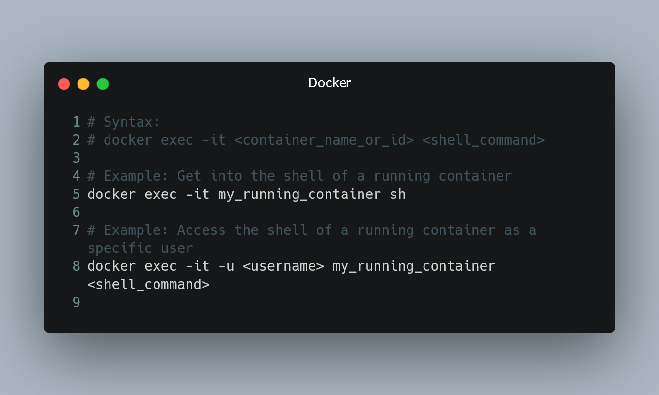 Using `docker exec` command